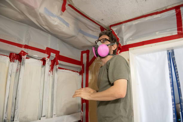 Mold Removal for HVAC Installations in Cricket, NC